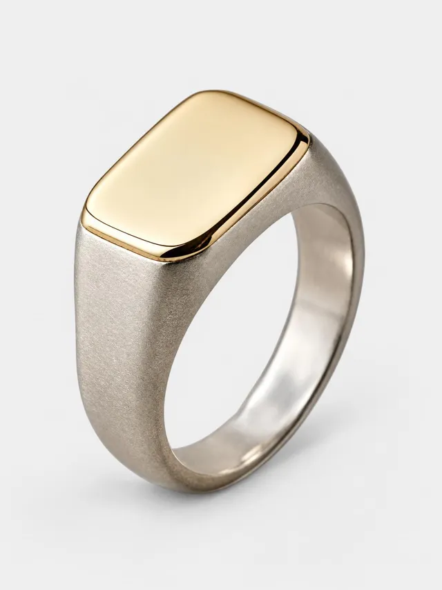 Halden Stone — Recycled Gold Signet
